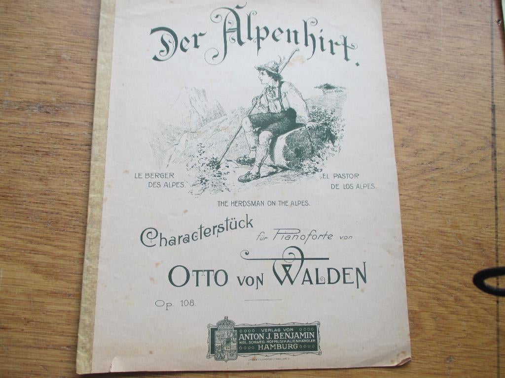 DER ALPENHIRT  - OTTO VON WALDEN, Ophalen of Verzenden, Gebruikt, Artiest of Componist, Populair