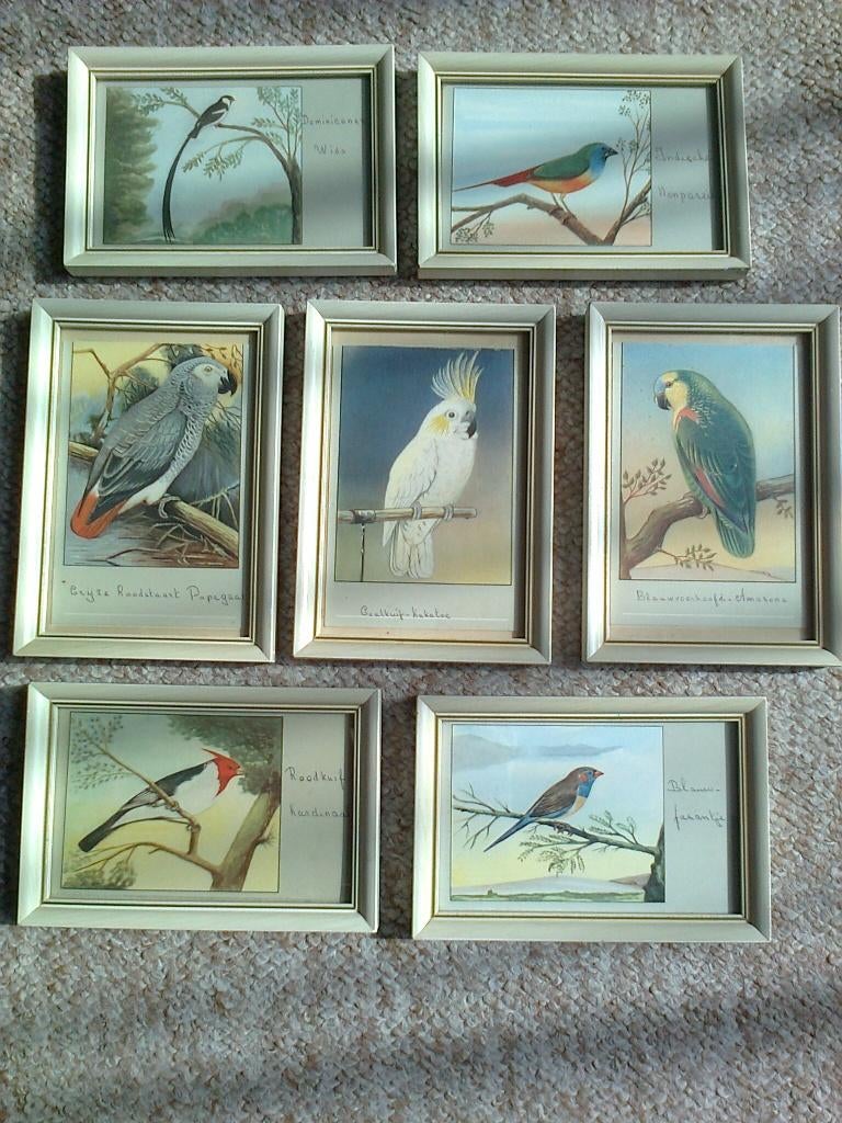 papagaaien lijstjes 10x15cm h, Ophalen of Verzenden, Hout, Minder dan 50 cm, Minder dan 50 cm