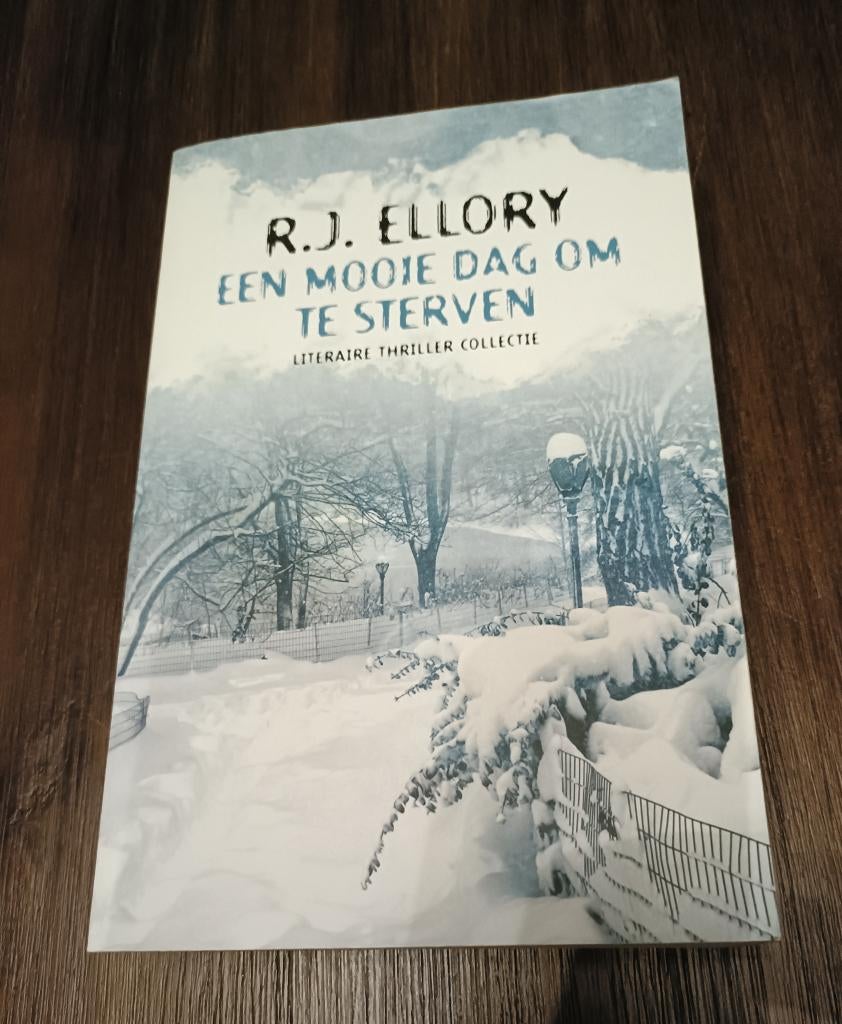Een mooie dag om te sterven - R.J. Ellory - boek, Ophalen of Verzenden, Zo goed als nieuw, R.J. Ellory