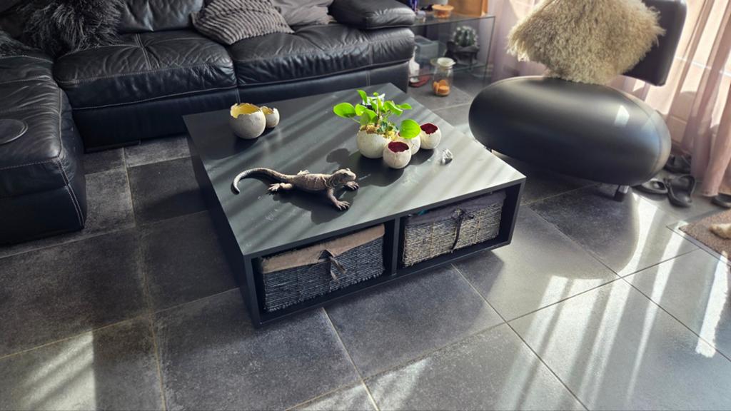 Salontafel, Huis en Inrichting, Gebruikt, 100 tot 150 cm, Minder dan 50 cm, Rechthoekig