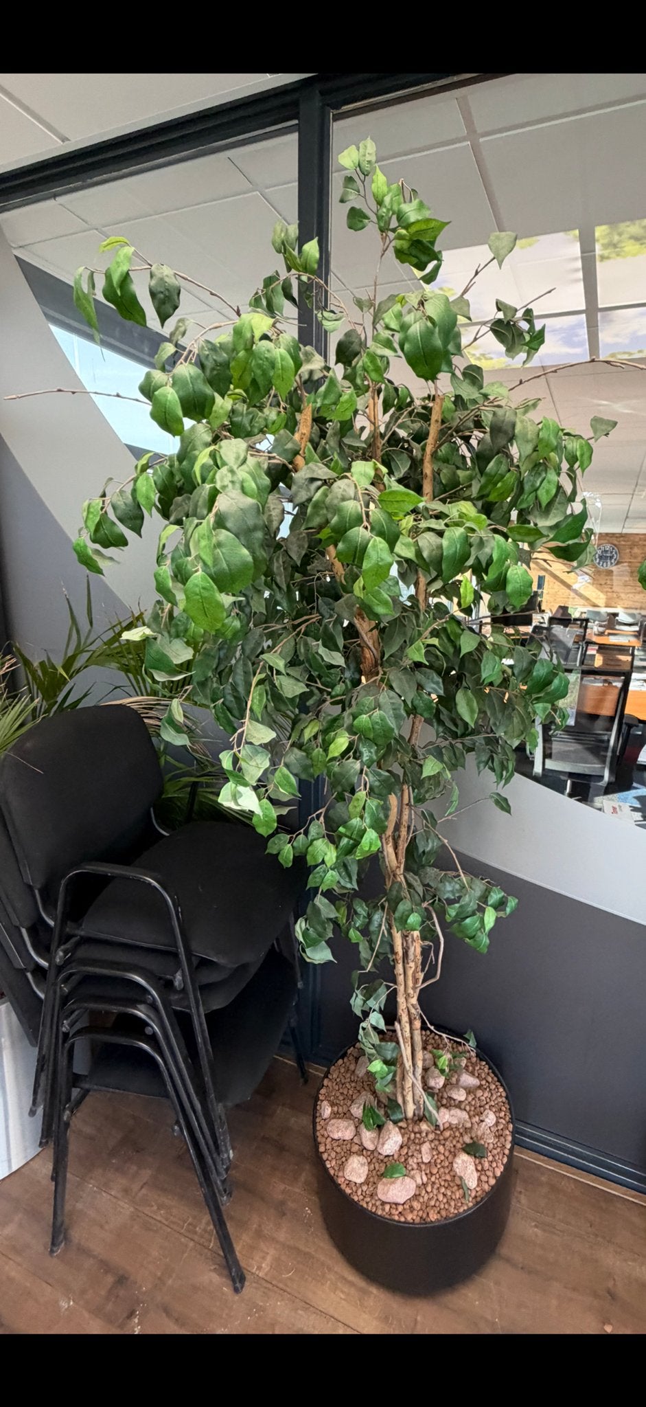 Grote kunstplant plm 2 mtr met verrijdbare pot - Groen, Ophalen, Binnen, Kunstplant, Kunststof
