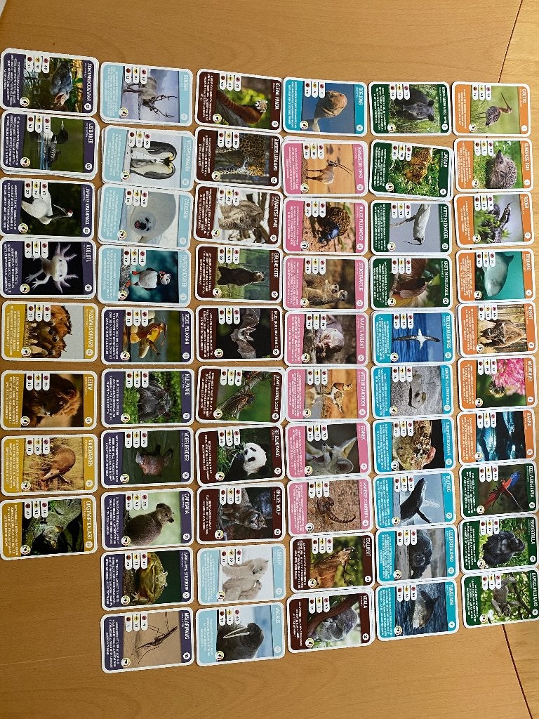 Grote collectie dierenplaatjes/stickers - diverse soorten, Ophalen of Verzenden, Nieuw, Meerdere plaatjes