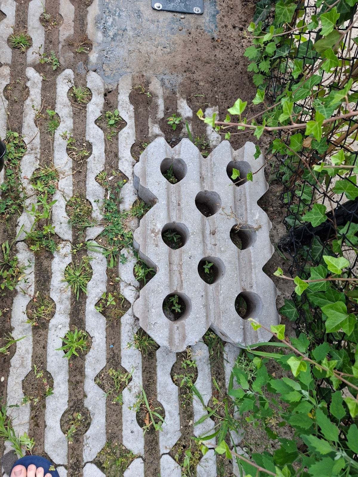 gratis 1 grasblok, Tuin en Terras, Tegels en Klinkers, Ophalen