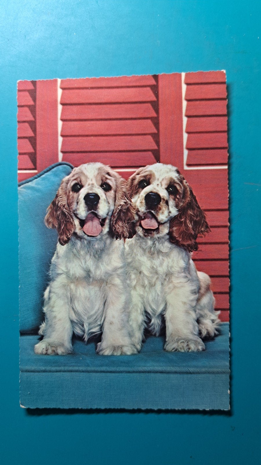 Cocker Spaniel 1964, Verzamelen, Ophalen of Verzenden, 1960 tot 1980, Gelopen, Hond of Kat