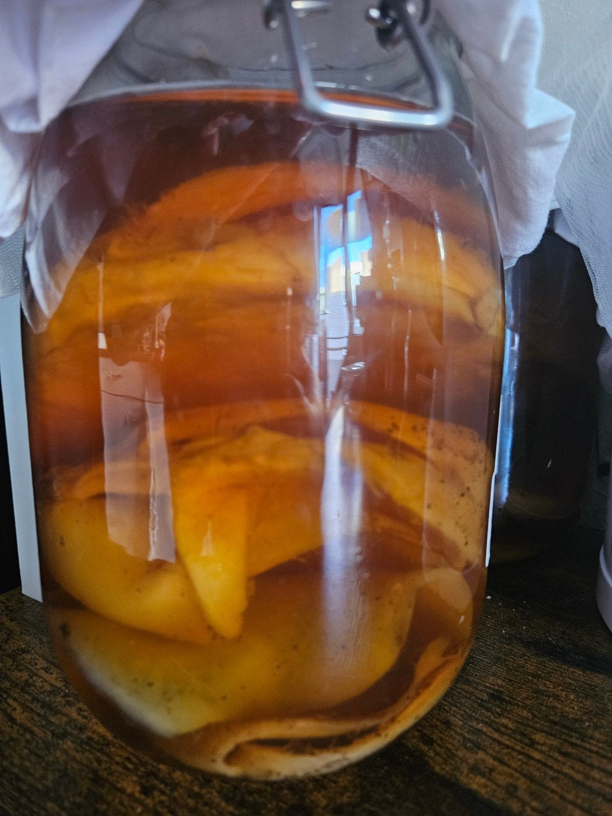 Kombucha SCOBY met startervloeistof, Ophalen