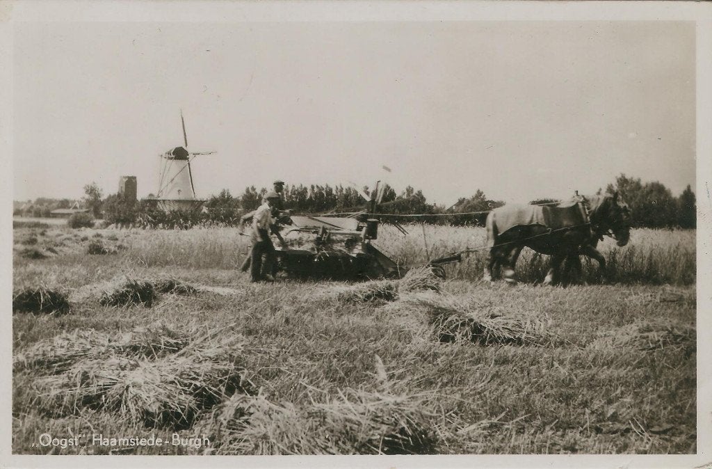 Oogst Haamstede - Burgh 1955 molen watertoren, Ophalen of Verzenden, 1940 tot 1960, Ongelopen, Zeeland