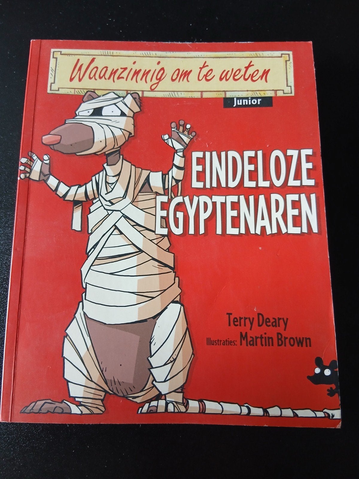 Waanzinnig om te weten: Eindeloze Egyptenaren, Boeken, Ophalen of Verzenden, Gelezen, Terry Deary, Non-fictie
