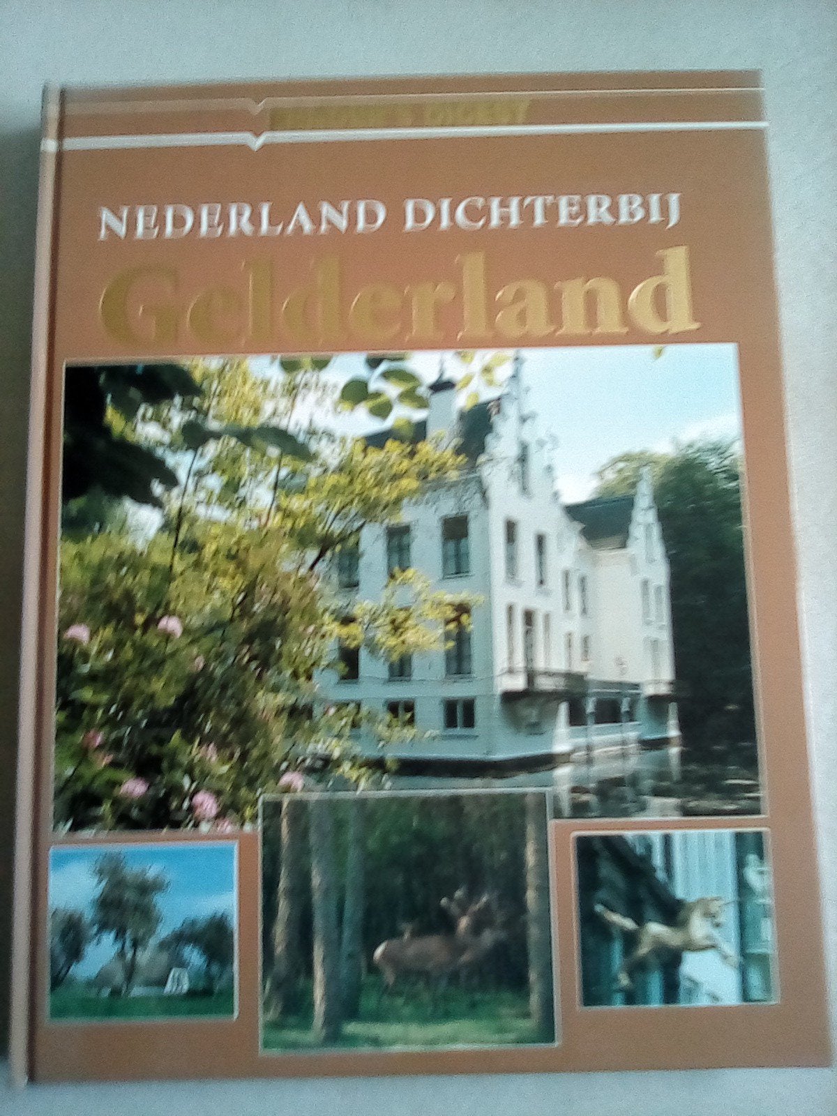 Nederland Dichterbij Gelderland, Boeken, Ophalen of Verzenden, Zo goed als nieuw