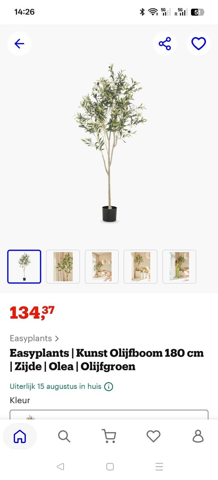 Nieuwe Kunst Olijfboom 1.8m Hoog - Realistische Decoratie, Ophalen, Binnen, Groen, Kunstplant