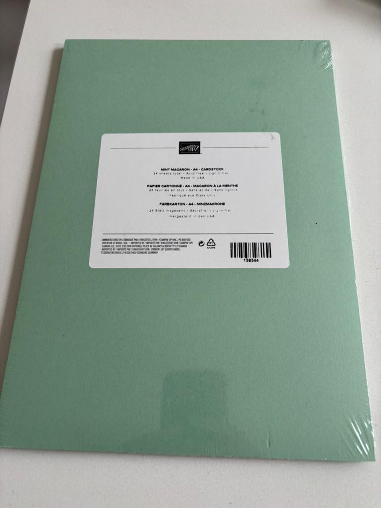 Stampin Up kaartkarton Mint Macaron, Hobby en Vrije tijd, Stempelen, Ophalen of Verzenden, Nieuw, Overige typen