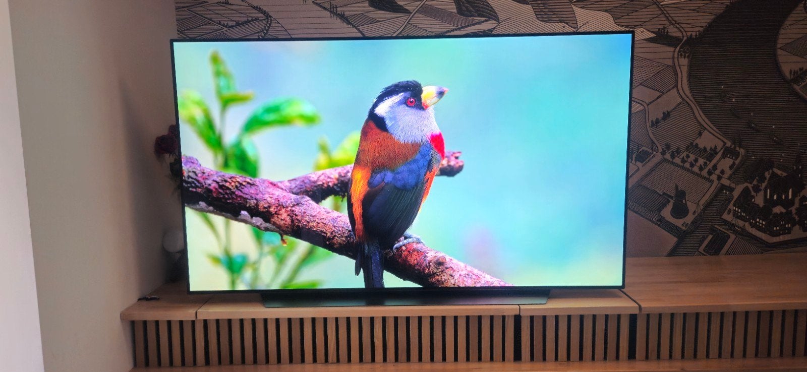 LG OLED65CX3LA 65 inch 4K OLED, Ophalen, Zo goed als nieuw, 100 cm of meer, 4k (UHD)