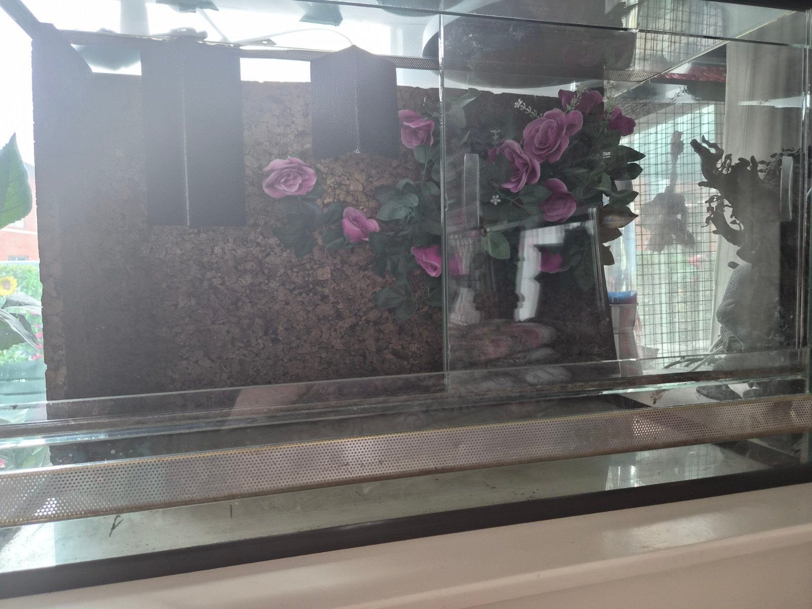 terrarium, Dieren en Toebehoren, Reptielen en Amfibieën | Toebehoren, Ophalen