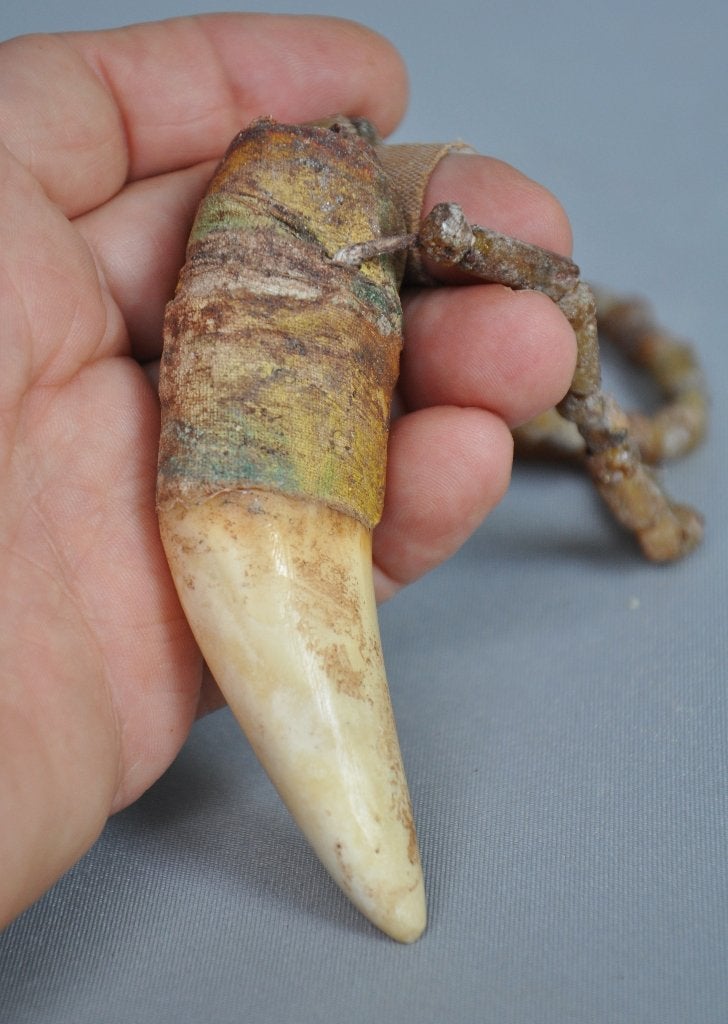 Imitatie tijgertand met ketting - Cambodja - 21e eeuw, Ophalen of Verzenden