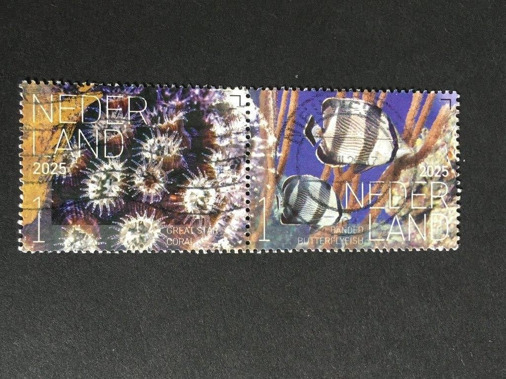 ANGR 2329 Nederl 2025 Beleef Eustatius Onderwater duo 3e rij, Ophalen of Verzenden, Na 1940, Gestempeld