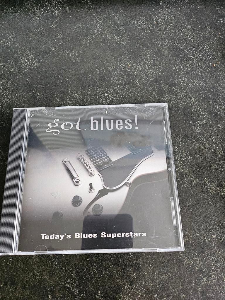 Got Blues! Today's Blues Superstars, Ophalen of Verzenden, 1980 tot heden, Zo goed als nieuw, Blues