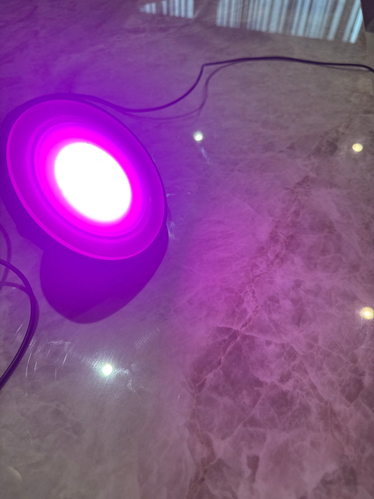 PHILIPS HUE BT Bloom WACA zwart 2 stuks, Kunststof, Zwart, Overige fittingen, Ophalen of Verzenden