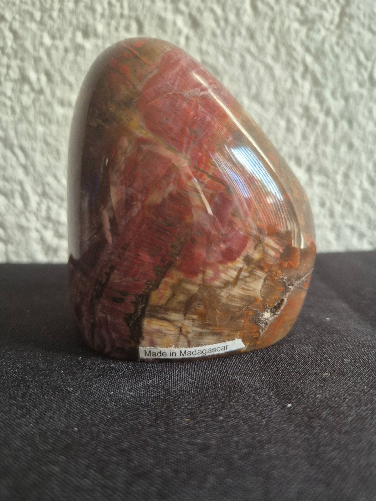 Versteend Hout - 743 gram, Ophalen, Nieuw