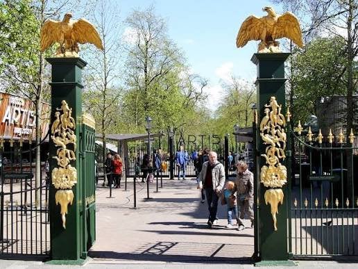Kaarten tickets Artis €10 per stuk NOG 1 BESCHIKBAAR, Drie personen of meer, Ticket of Toegangskaart