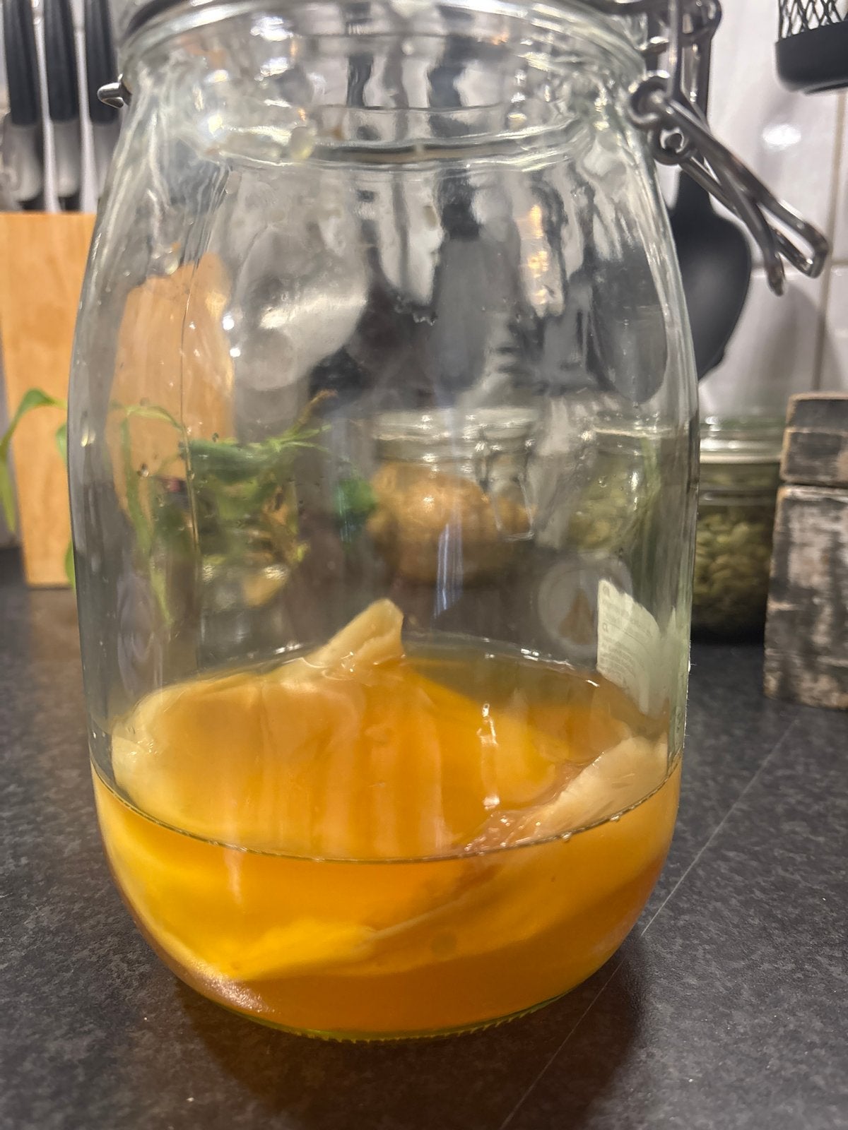 Scoby voor het maken van kombucha, Diversen, Ophalen