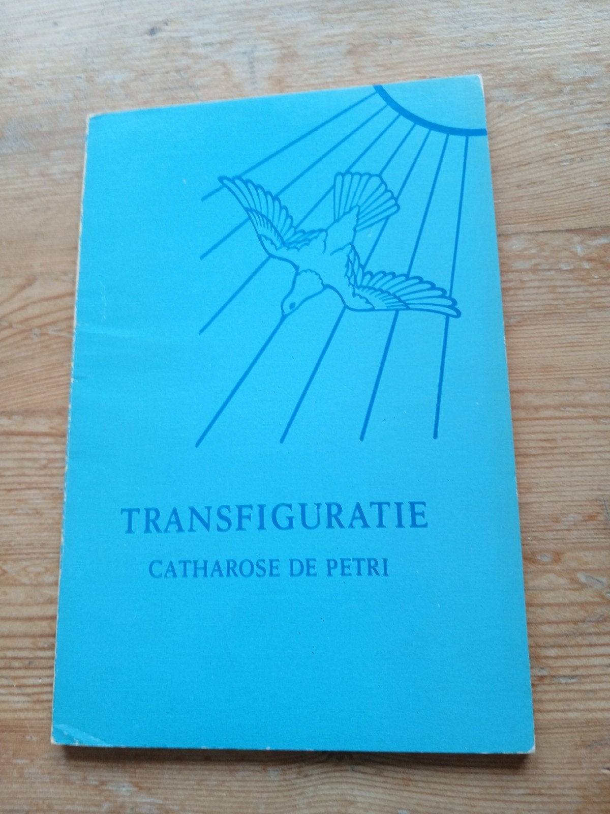 Transfiguratie, C. De Petri, Ophalen of Verzenden, Spiritualiteit algemeen, Achtergrond en Informatie