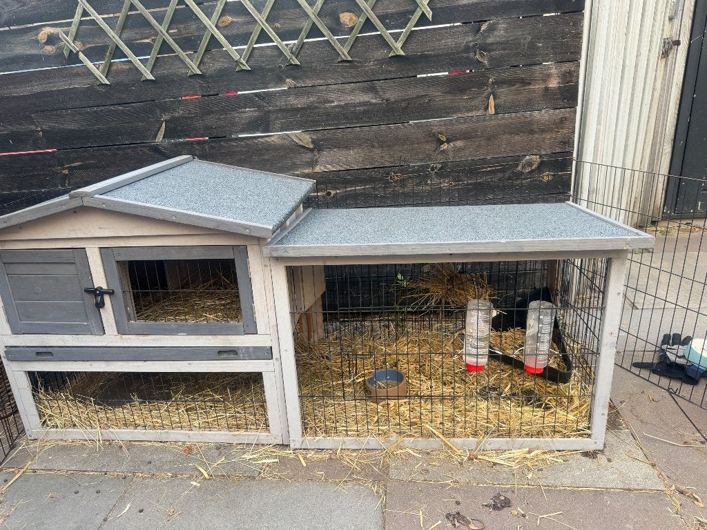 Konijnenhok, Dieren en Toebehoren, Knaagdieren en Konijnen | Hokken en Kooien, Konijn, Hok, Ophalen, Minder dan 60 cm