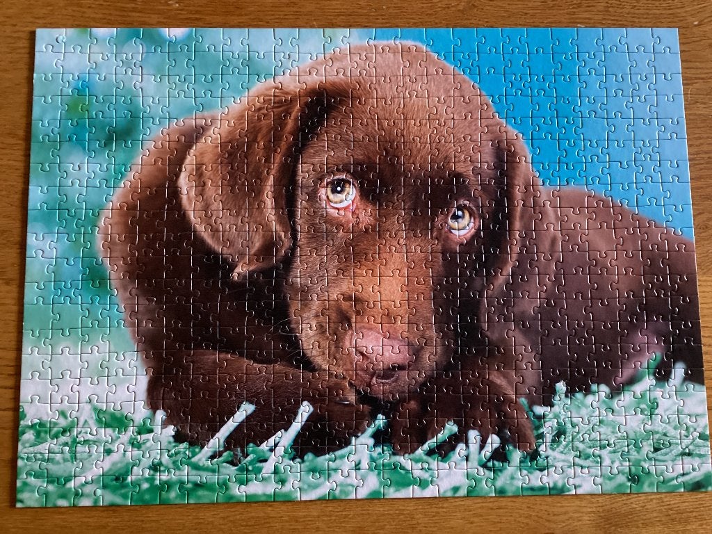 Puzzel 3x honden puppies puzzelbox 500 en 1000 stukjes, Ophalen, 500 t/m 1500 stukjes, Zo goed als nieuw, Legpuzzel
