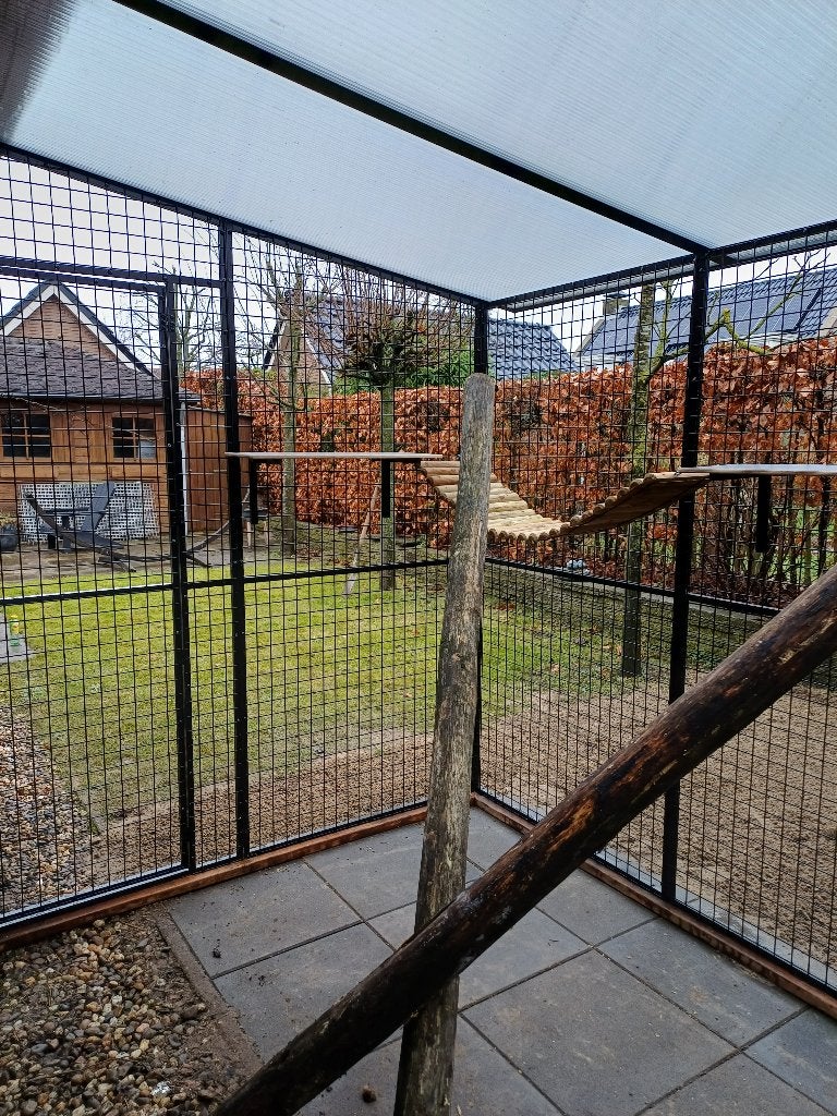 Kattenren Leiderdorp | Maatwerk | Duurzame materialen, Ophalen of Verzenden, Nieuw