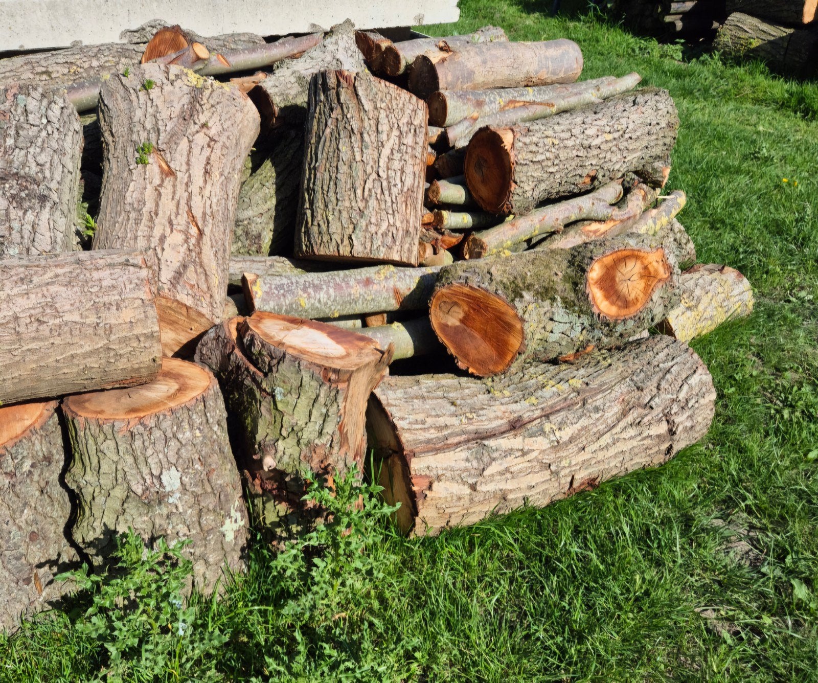 TE KOOP, KACHELHOUT. openhaard hout., 3 tot 6 m³, Ophalen of Verzenden, Overige houtsoorten, Stammen