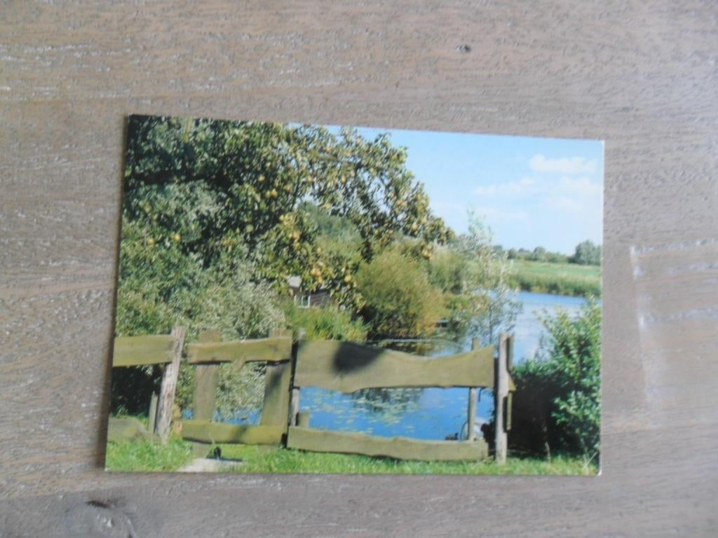 Rhenoy 1980, Verzamelen, Ansichtkaarten | Nederland, Verzenden, 1980 tot heden, Ongelopen, Noord-Brabant