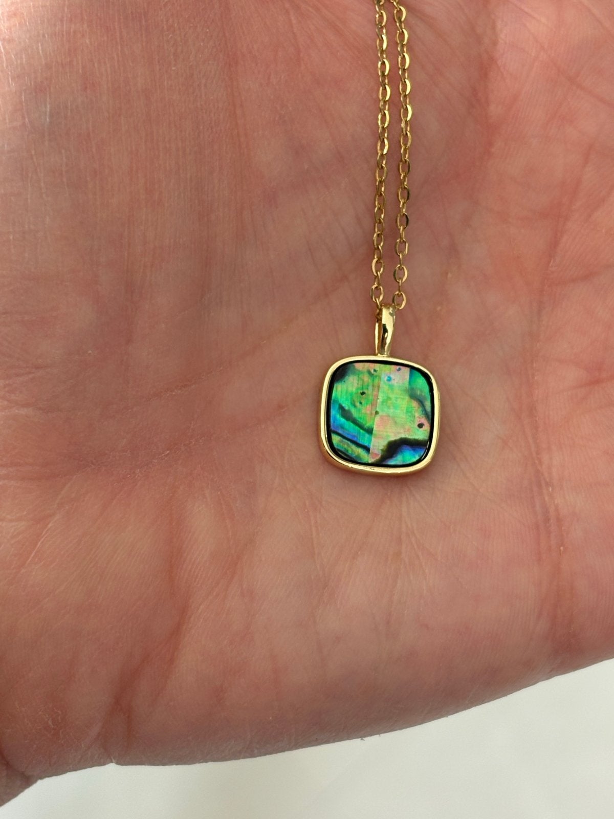 Abalone schelp hanger ketting - Goudkleurig RVS, Overige kleuren, Nieuw, Cariadgems@hotmail.com, Ophalen of Verzenden