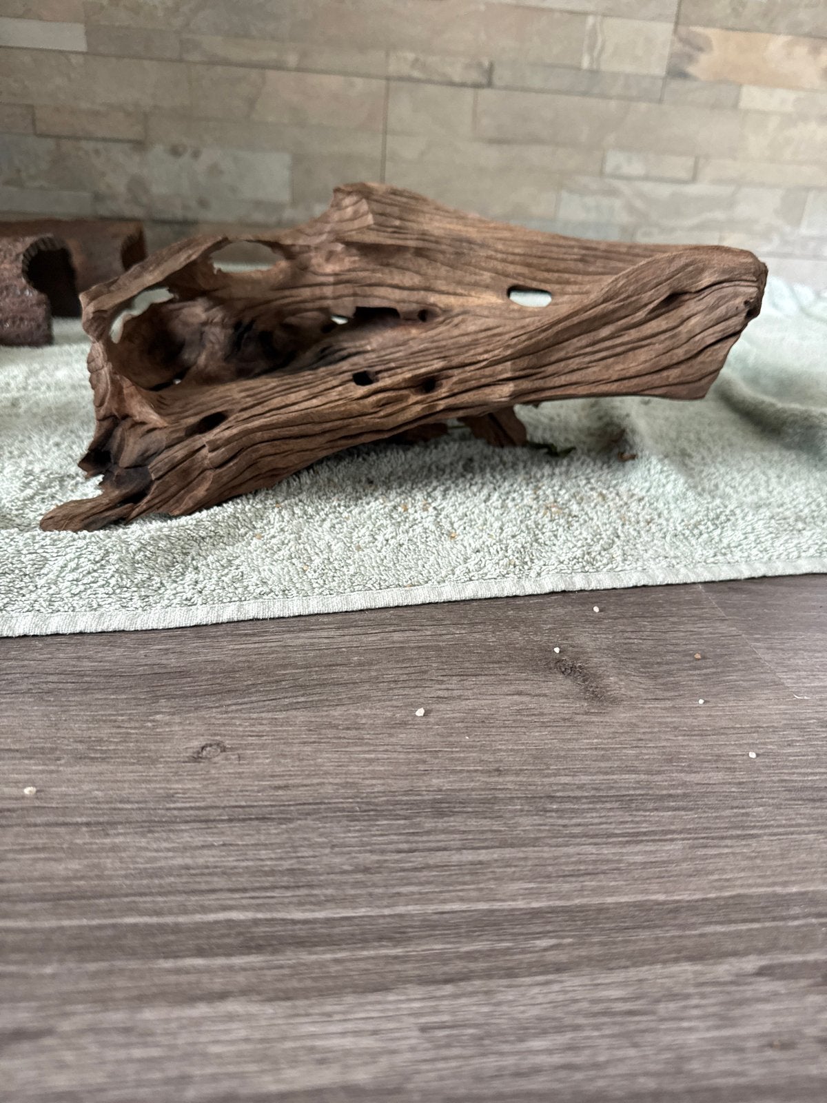Kienhout, Dieren en Toebehoren, Ophalen of Verzenden, Plant(en), Steen of Hout