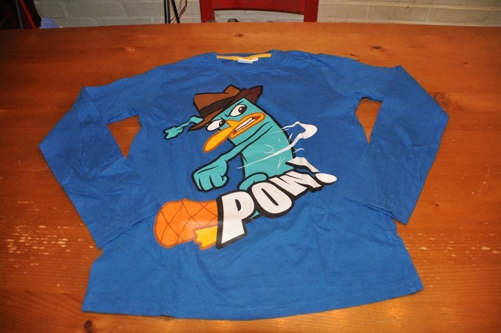 Leuke blauwe longsleeve Phineas and Ferb 146, Gebruikt, Phineas and Ferb, Ophalen of Verzenden, Shirt of Longsleeve