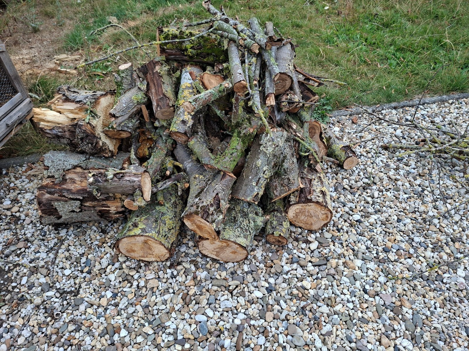 Gratis hout, Tuin en Terras, Haardhout, Minder dan 3 m³, Ophalen