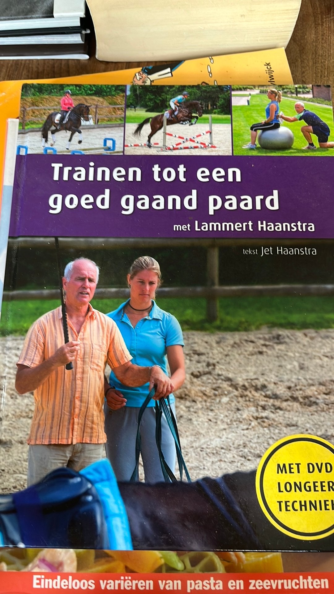 Lammert Haanstra - Trainen tot een goed gaand paard, Boeken, Lammert Haanstra; Jet Haanstra, Ophalen of Verzenden, Zo goed als nieuw