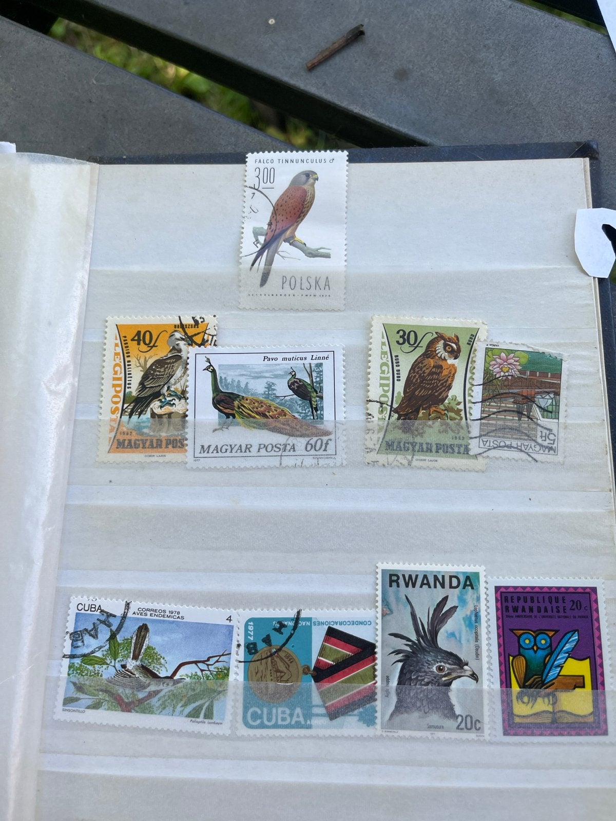 Verzameling postzegels met vogels en dieren, Ophalen of Verzenden, Gestempeld, Dier of Natuur