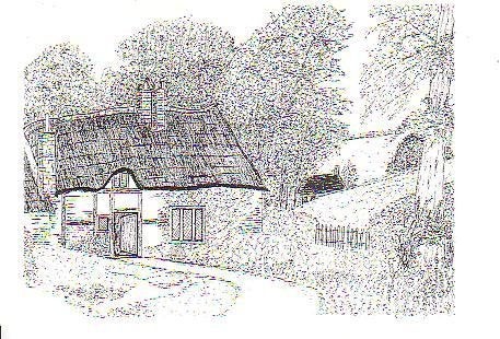 Ansichtkaart 	Huis met tuin	Tek J Sinke - Kruiningen, Verzenden, 1980 tot heden, Ongelopen, Gebouw