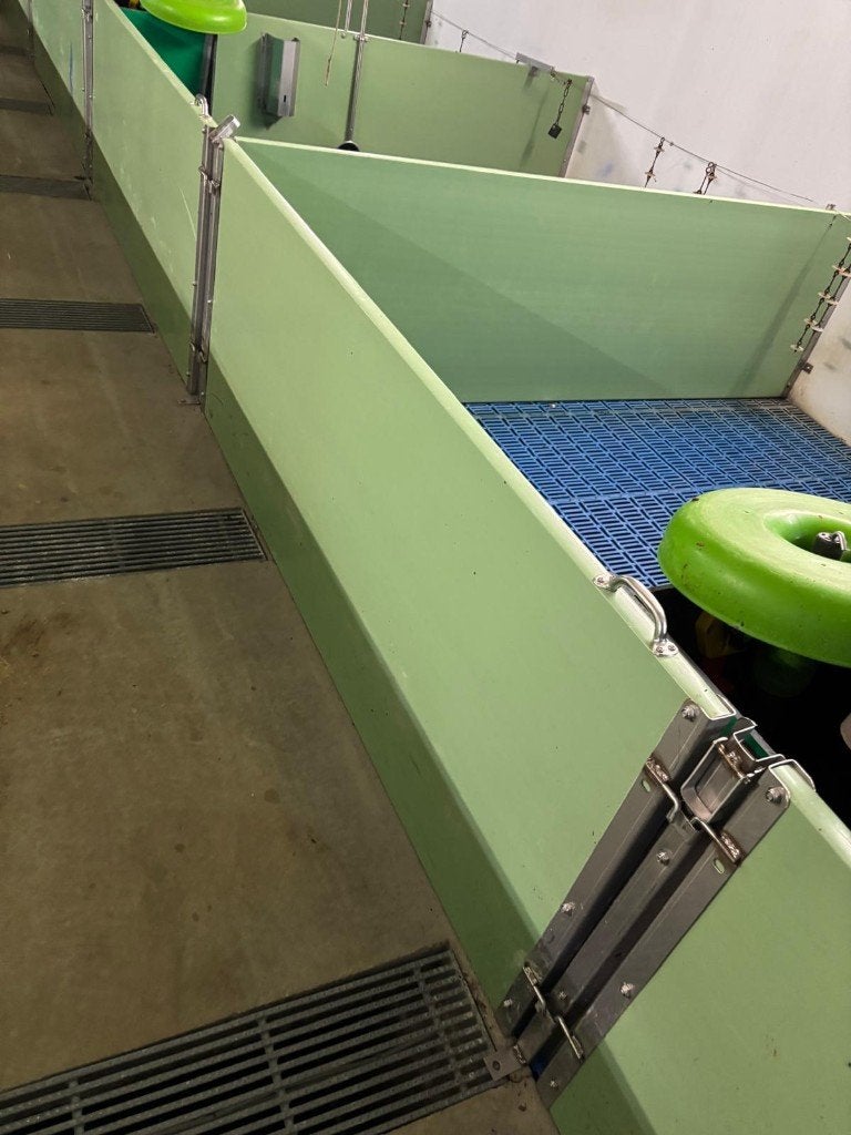 Hokinrichting voor biggen [490], Boekhorst Trading, Tim@boekhorsttrading.com, Singel 16, Horssen