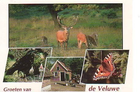 Ansichtkaart 	Veluwe	4-luik, Verzenden, 1980 tot heden, Gelopen, Gelderland