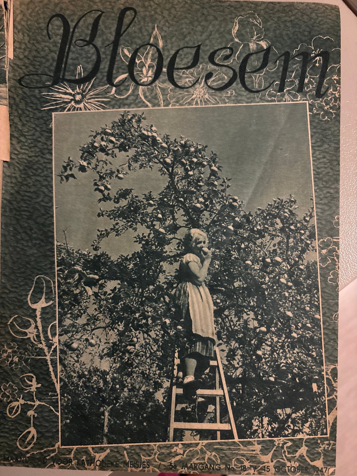 Bloesem Tijdschrift - Jaargang 1947, Ophalen of Verzenden, Gelezen, Overige typen