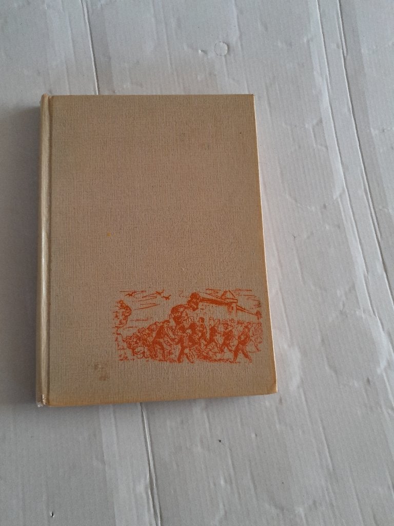 toen haarlem in nood was - piet prins, Boeken, Ophalen of Verzenden, Gelezen