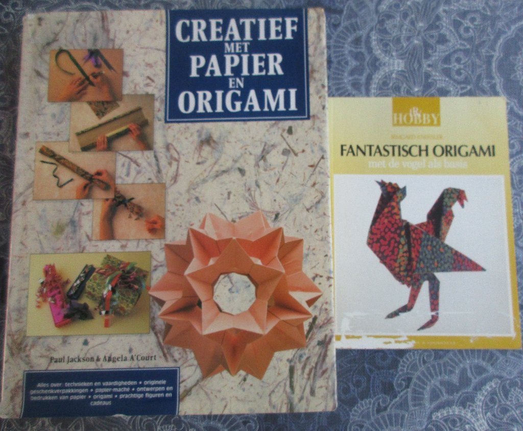 boekje origami / Creatief met papier en origami, Ophalen of Verzenden, Gelezen, Overige onderwerpen