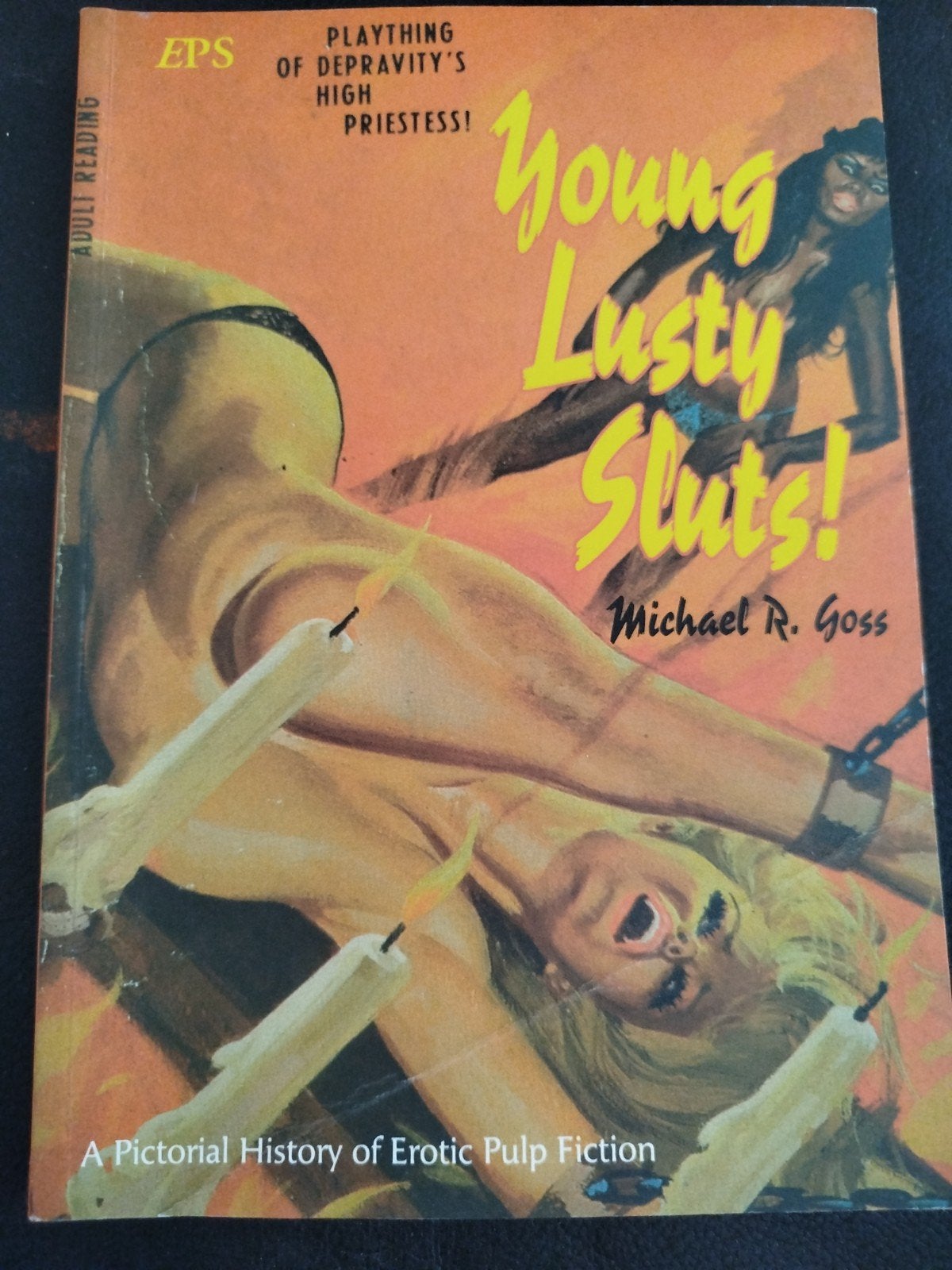 YOUNG LUSTY SLUTS EROTIC PULP FICTION SOFTCOVERS, Ophalen of Verzenden, Zo goed als nieuw, Michael R. Goss, Overige onderwerpen