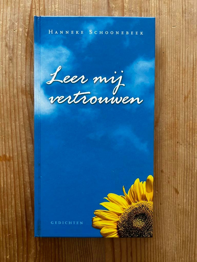 Hanneke Schoonebeek - Leer mij vertrouwen, Boeken, Ophalen of Verzenden, Zo goed als nieuw, H. Schoonebeek
