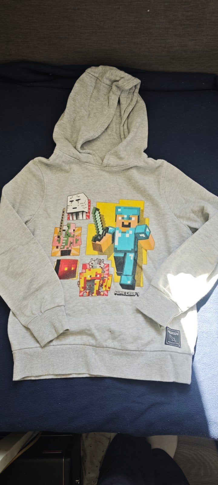 Minecraft hoodie maat 134-140, zeer goede staat, Jongen of Meisje, Trui of Vest, Minecraft, Ophalen of Verzenden
