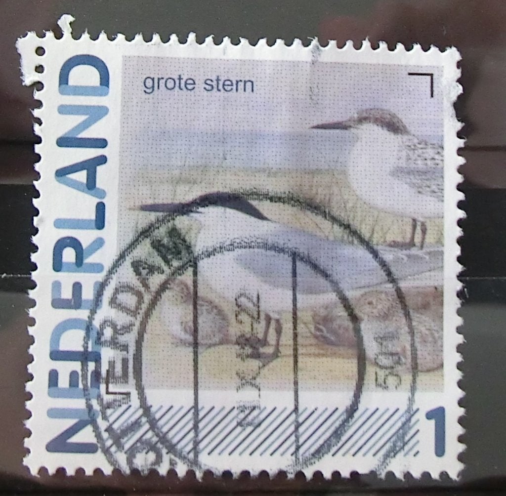 persoonlijke postzegel, Vogels, gest (lees aub), Ophalen of Verzenden, Na 1940, Gestempeld
