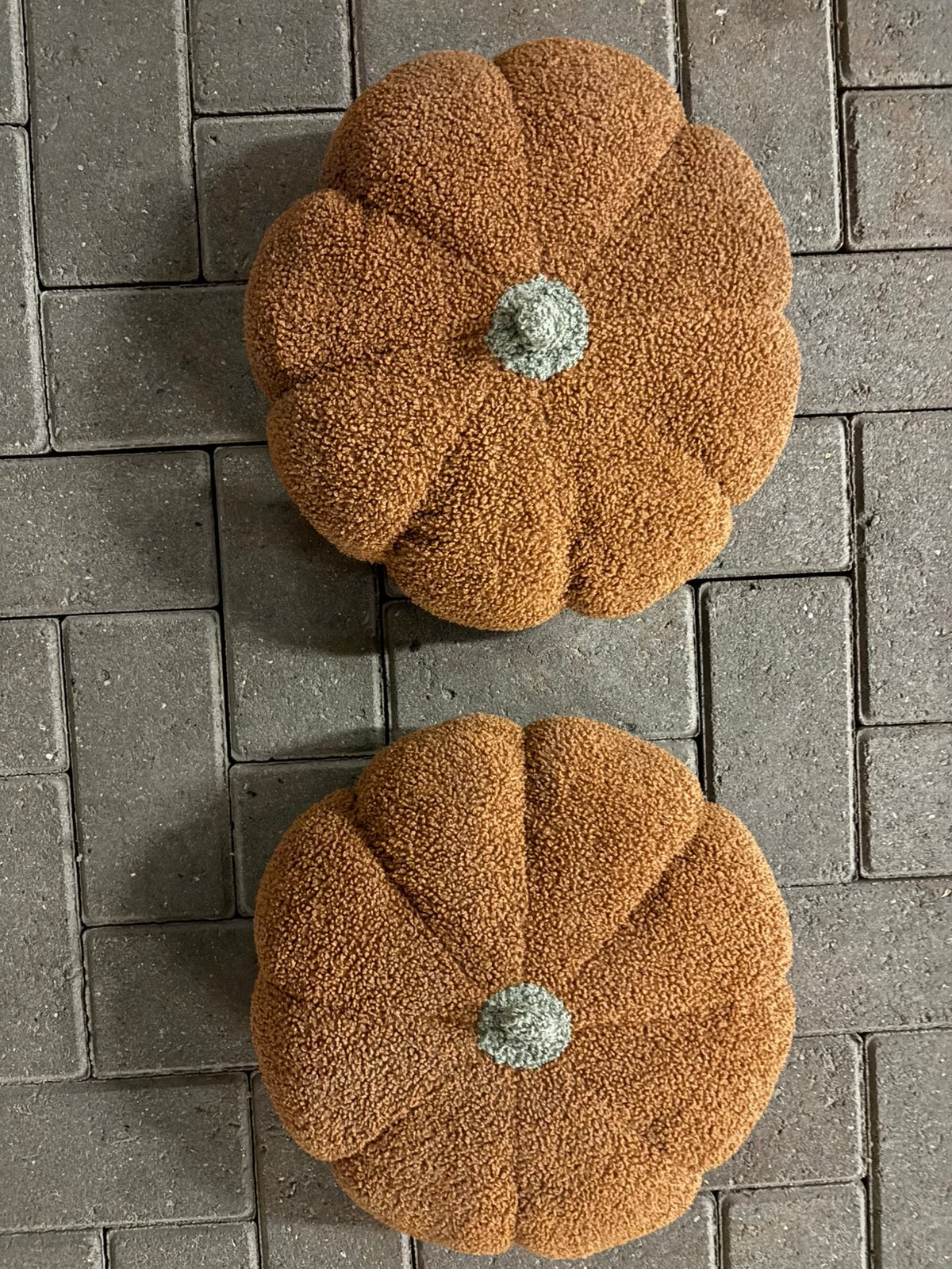 Nieuw twee pompoen kussens, Ophalen of Verzenden, Nieuw, Bruin, Overige vormen