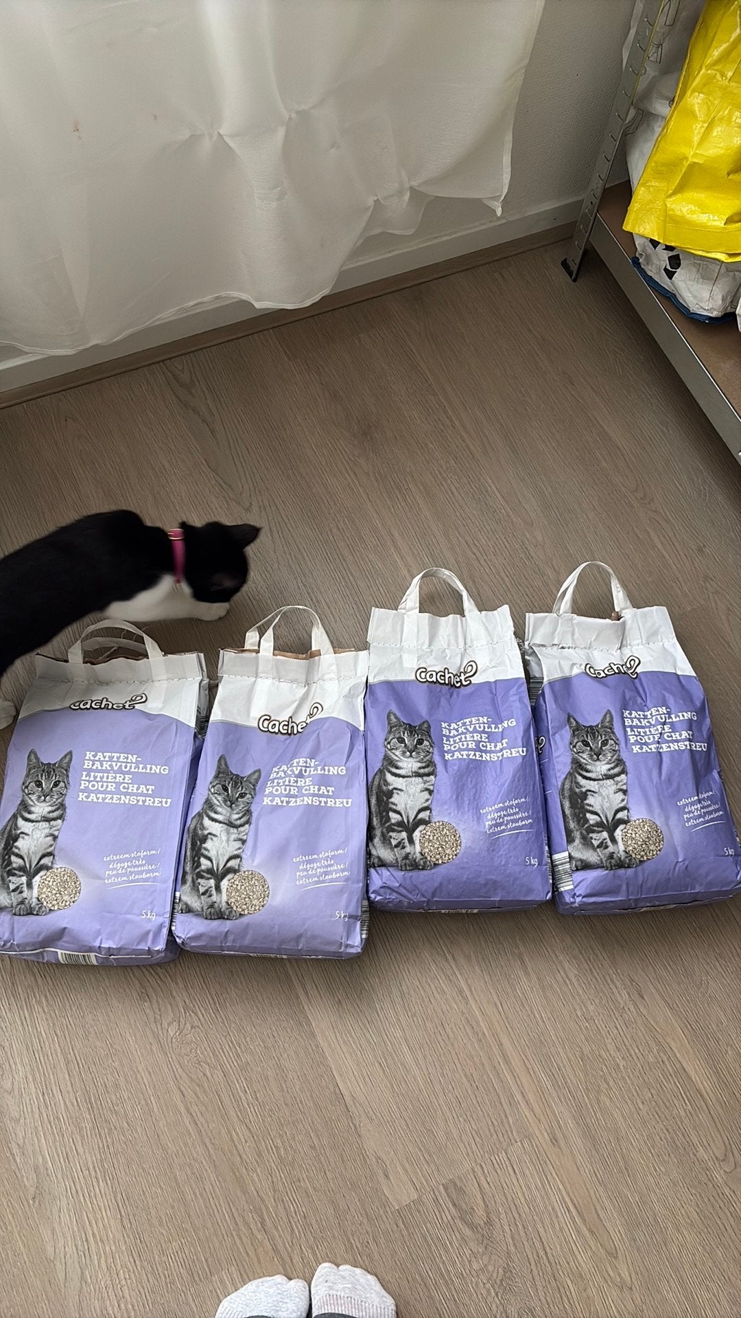Kattenbak vulling niet klontvormend 4x, Ophalen, Nieuw