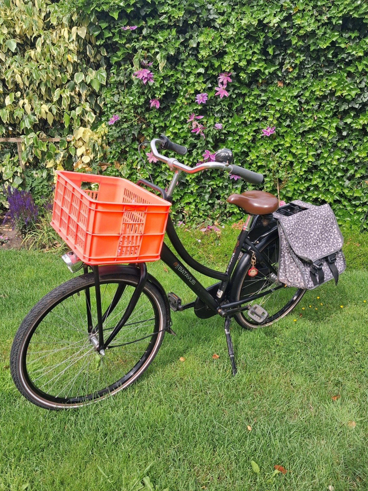 Batavus Amigo 26 inch transportfiets meisjes 🚲 zgan, Terugtraprem, Versnellingen, Batavus®, Zo goed als nieuw
