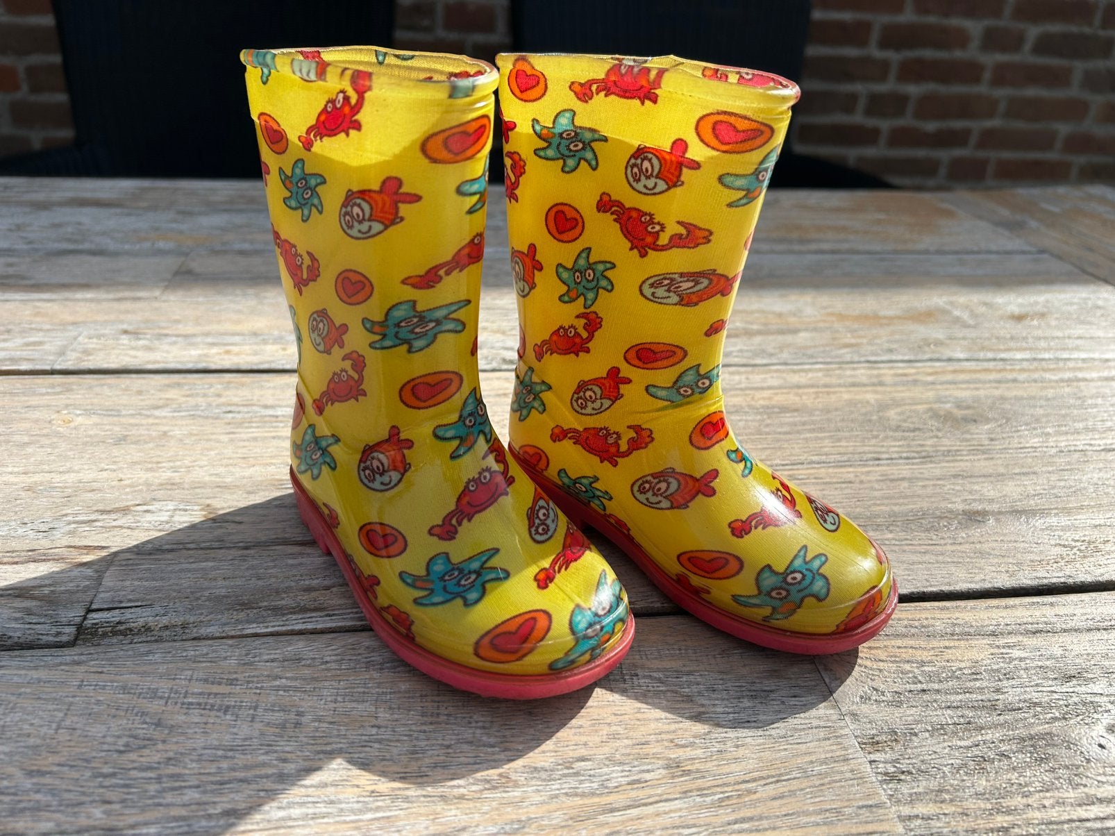 Regenlaarzen maat 26, Gebruikt, Jongen of Meisje, Ophalen of Verzenden, Laarzen