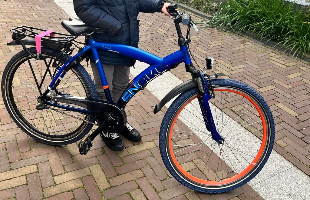 Batavus snake, Fietsen en Brommers, Ophalen, Zo goed als nieuw, Terugtraprem, 24 inch